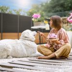 Solarzaun in Aktion - FlexPVence Solarzaun mit vier PV Modulen